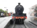 West Somerset 'mixed' Gala 11/12th June 2011