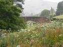 Wiveliscombe Station, Somerset, 12/6/2011