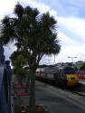 Newquay 5.8.2012