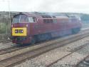 D1015 'western Champion' At Penzance 3/4/2010