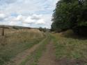 Bridport Branch Remains August 2010
