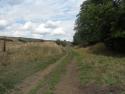 Bridport Branch Remains August 2010