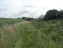 Bridport Branch Remains August 2010