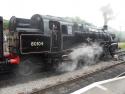 80104 At Corfe Castle