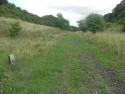 Bridport Branch Remains August 2010