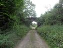 Bridport Branch Remains August 2010