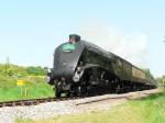 60019_at_Claverdon_14-05-08_J