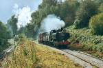 Pannier in the Forest