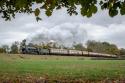 Bluebell Railway