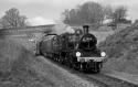 78019 On The Bluebell