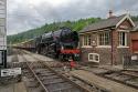 Nymr
