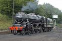 Mid Hants Black 5