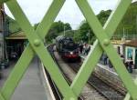 Framed at Corfe Castle