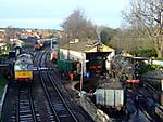 Swanage Shed