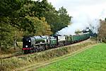 Bluebell Giants of Steam event