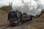 The Duchess 6233