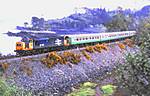 37415 at Plockton