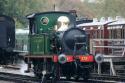 178 At Sheffield Park. 6.11.11