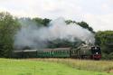 34092 At The Bluebell