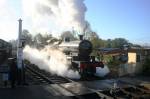 53809 at Sheffield Park