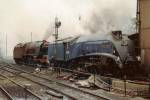 LNER / LMS rivals (on the Southern!)
