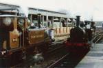 Terriers at Sheffield Park