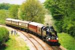 'Golden Arrow'
