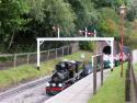 Moors Valley Railway