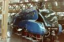 Mallard At The Nrm