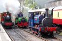 Willy, Judy & Hastings