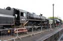 Rolvenden Yard