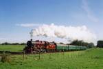 Leander at Bluebell