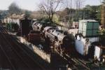 Swanage shed