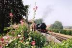 Bodiam in Bloom