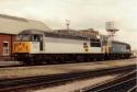 Coming On Shed