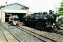 On Shed At New Romney