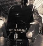 Mallard At NRM