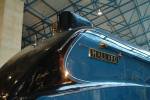 Mallad at NRM