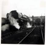 4-6-2 Class 7MT 70013 Oliver Cromwell, Lostock Hall shed 1968