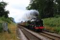 46115 Scots Guardsman