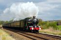 5043 Earl Of Mount Edgecumbe