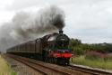 5690 Leander