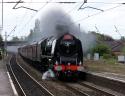 6233 Duchess Of Sutherland