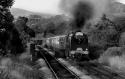 71000 Duke Of Gloucester
