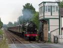 46115 Scots Guardsman