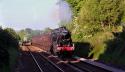 Class 8f 48151