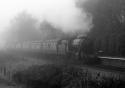 Class Wd 2-8-0 8f 90733 Arrives at fog bound Irwell Vale 23.01.2010