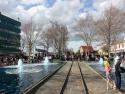 Palmerston North - Gisborne Line