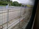 Trackbeds In New Lynn Trench