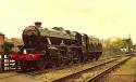 45305 On "warthogs" Duties